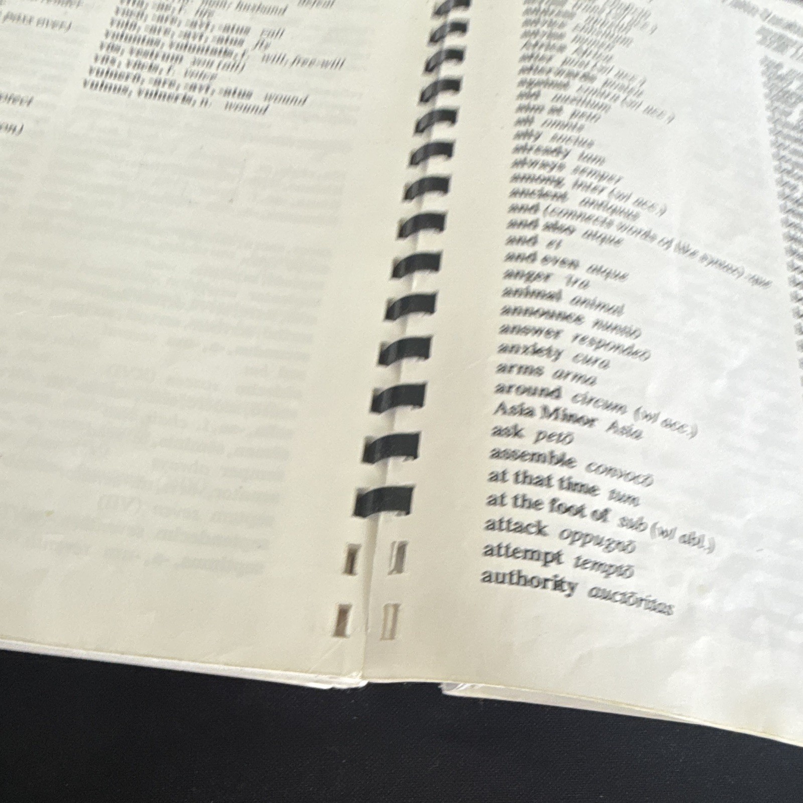 The Latin Road to English Grammar Vol 2 Worksheets Workbook Ring/Wire Bound