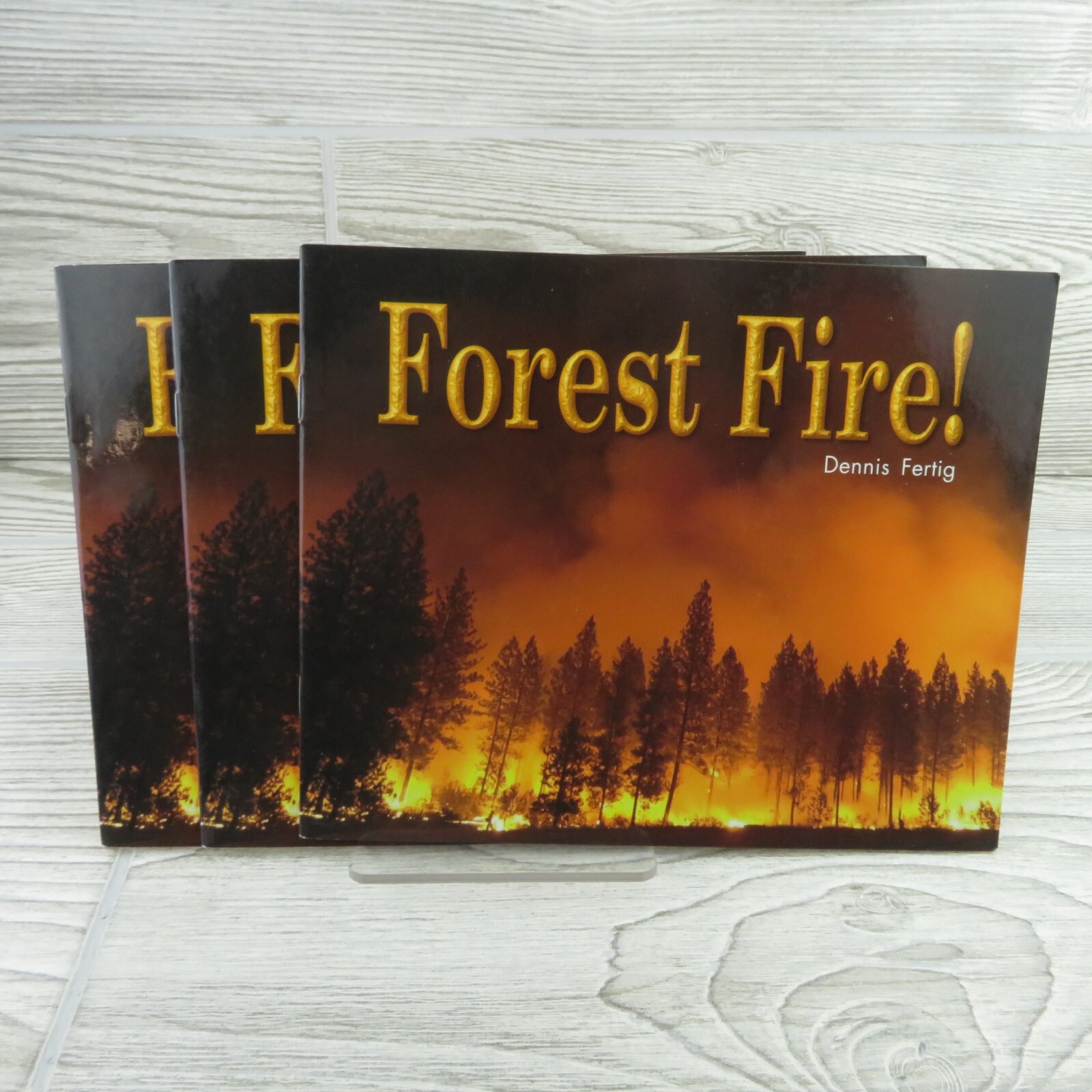 Rigby – Forest Fire! – Literacy by Design – Reading Level I – Lot of 3 Books