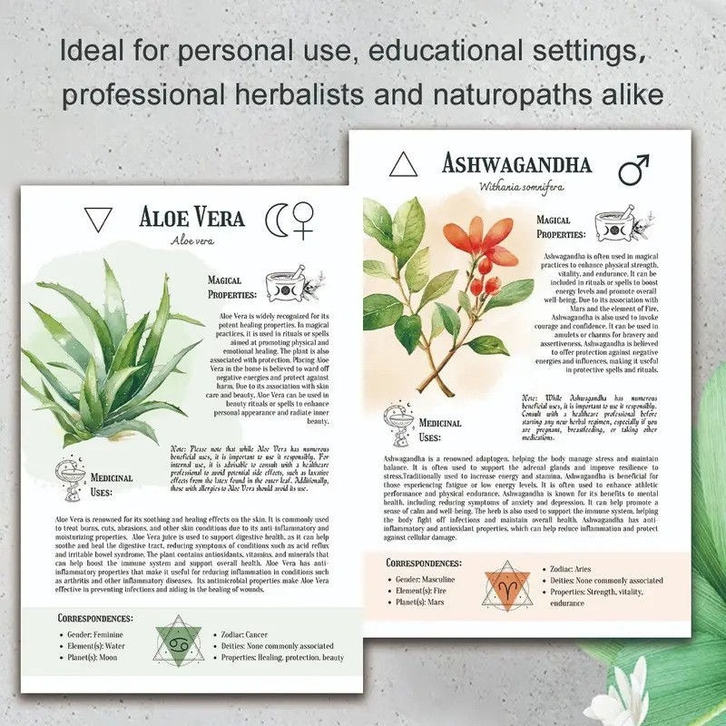 Ancient Remedies The Natural Healing Handbook 2025 Spiral-Bound Guide Herbal