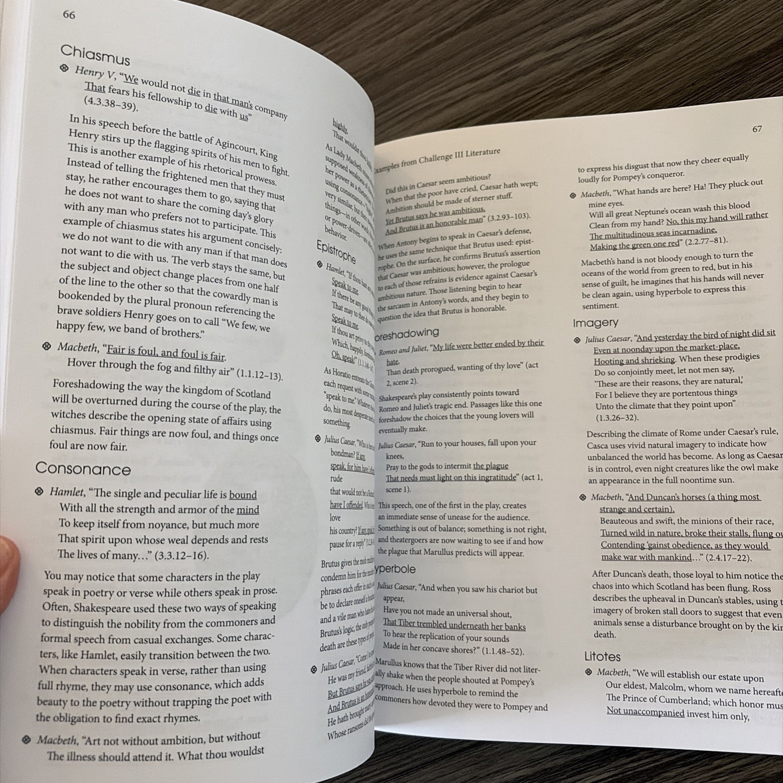 Wakeful Words: A Companion To The Literature Of Classical Conversations