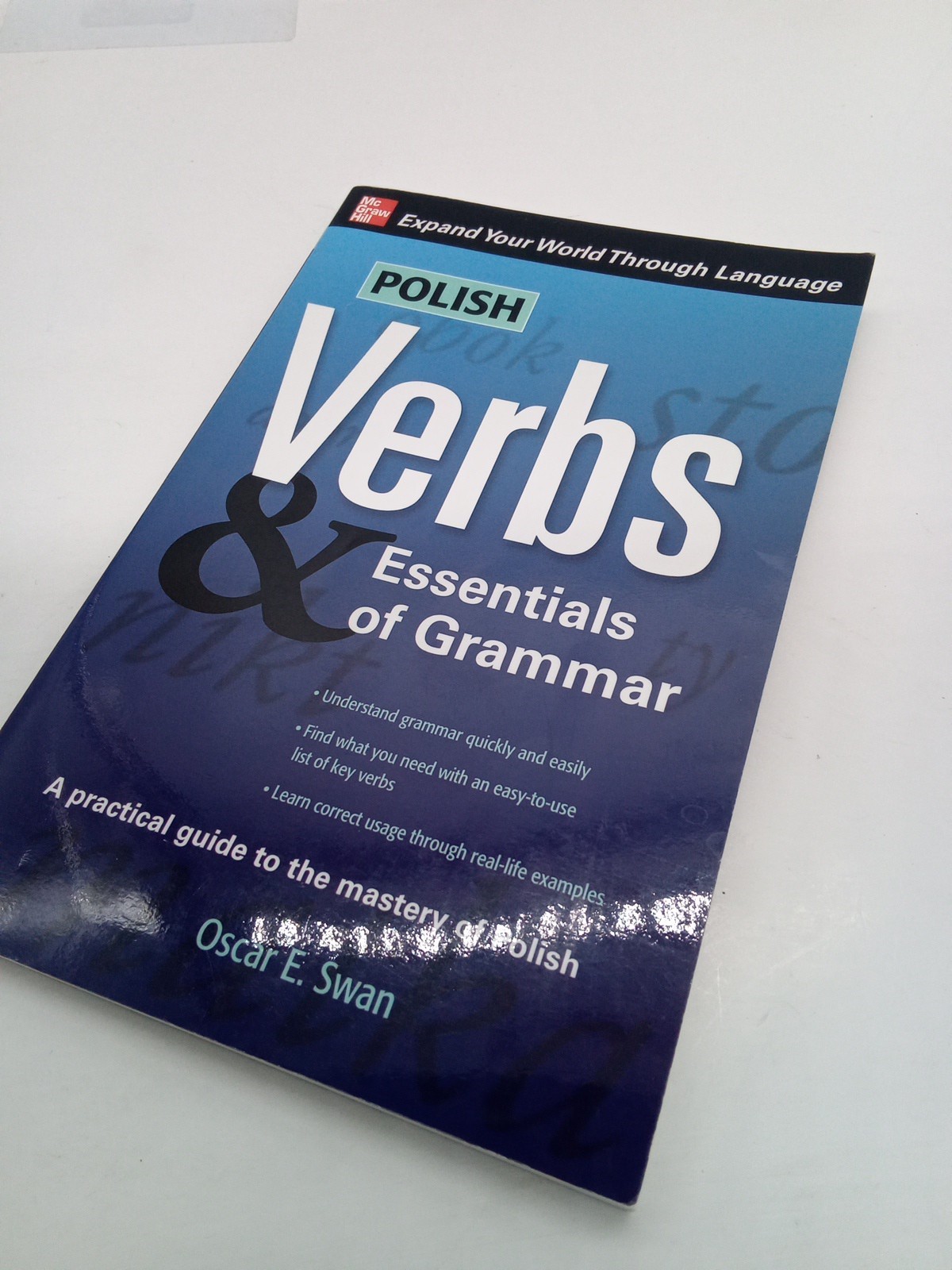 Polish Verbs & Essentials of Grammar Y14