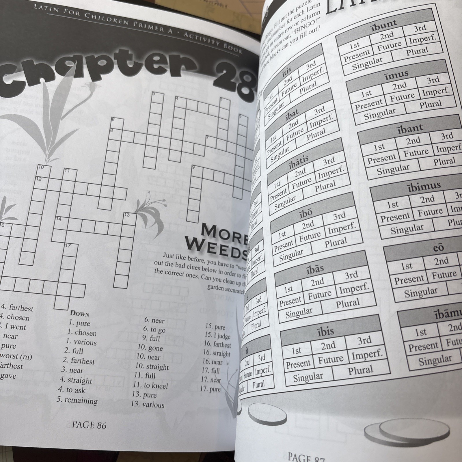 Classical Academic Press Latin for Children Primer A qt 2, Answer Key,Reader