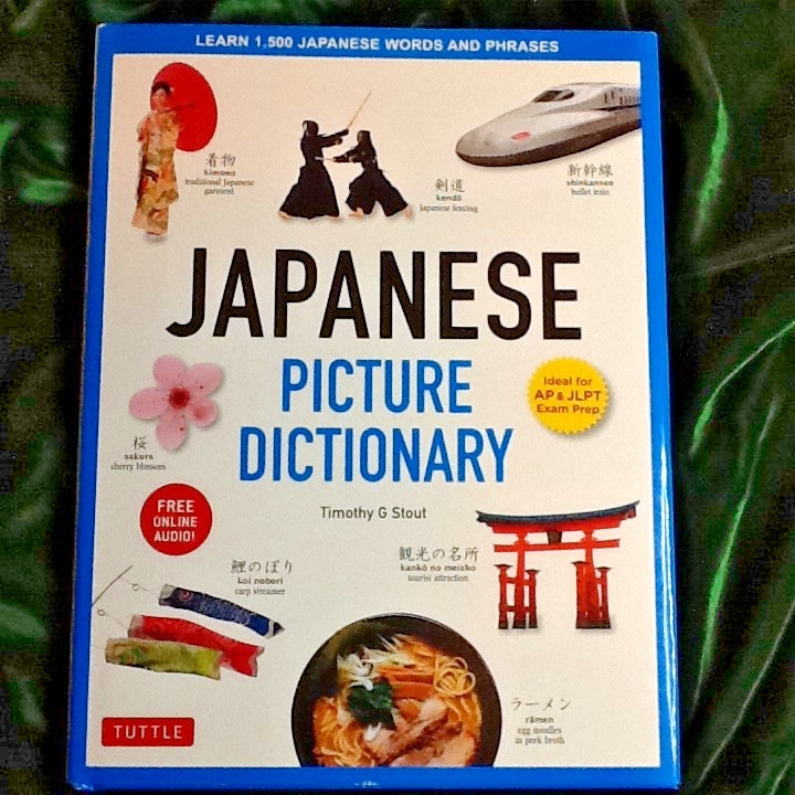 JAPANESE PICTURE BOOK by TIMOTHY G STOUT 2018 HC DJ TUTTLE PUB 071226G