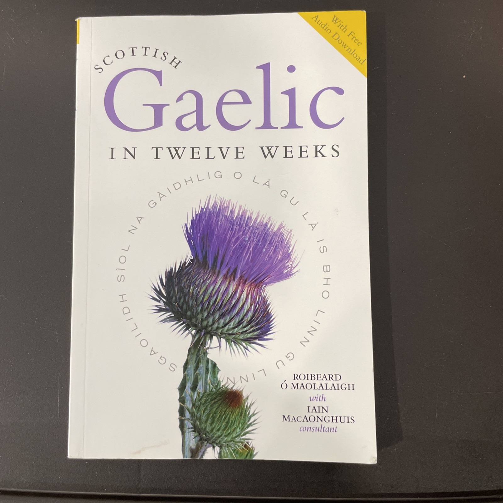 Scottish Gaelic in Twelve Weeks : With Audio Download
