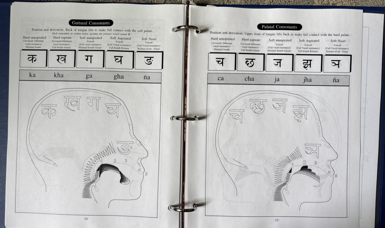 Sanskrit By CD Vyass Houston 1991