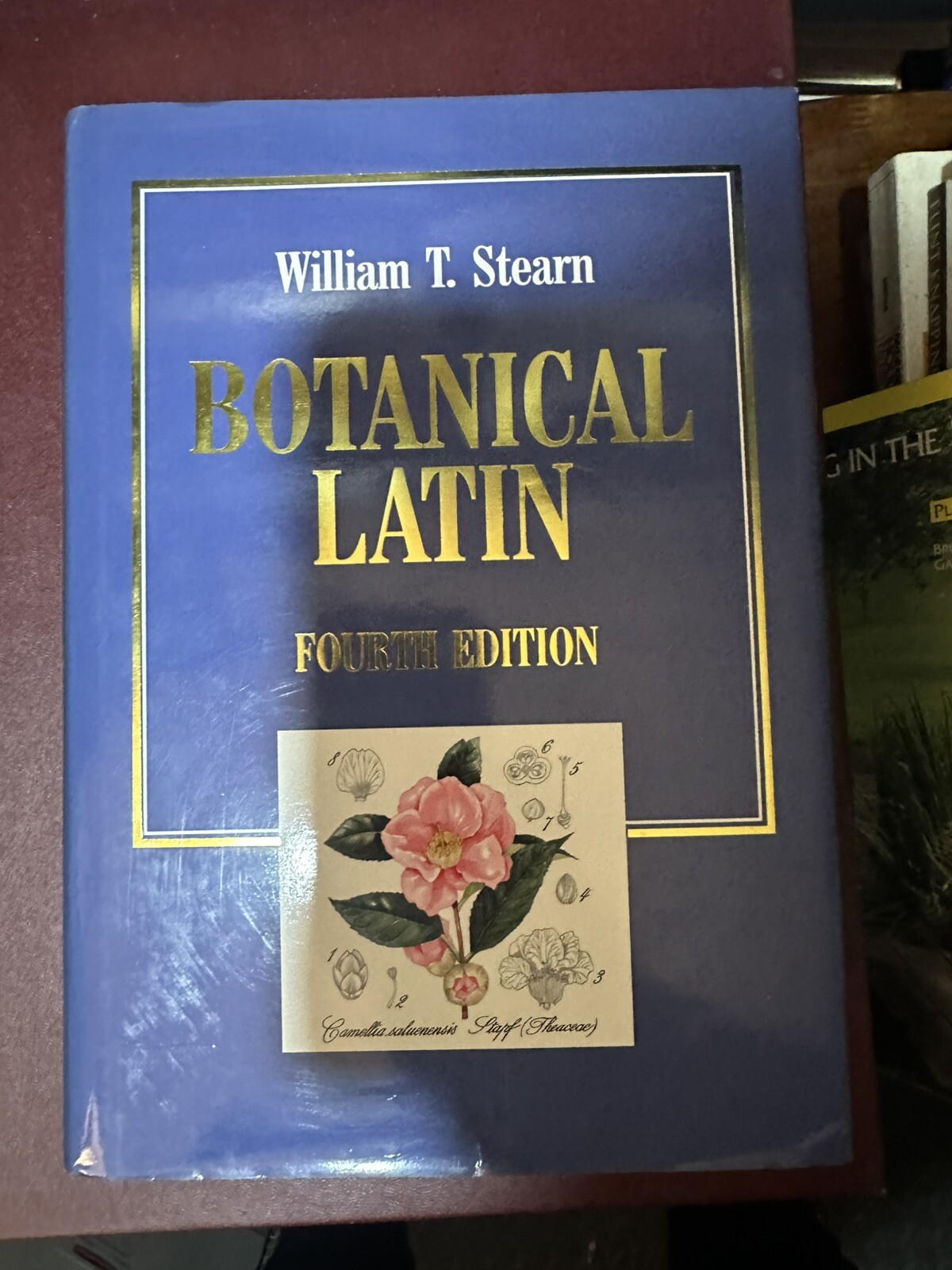 Botanical Latin by William T. Stearn (1993, Hardcover) Dust Jacket VERY GOOD