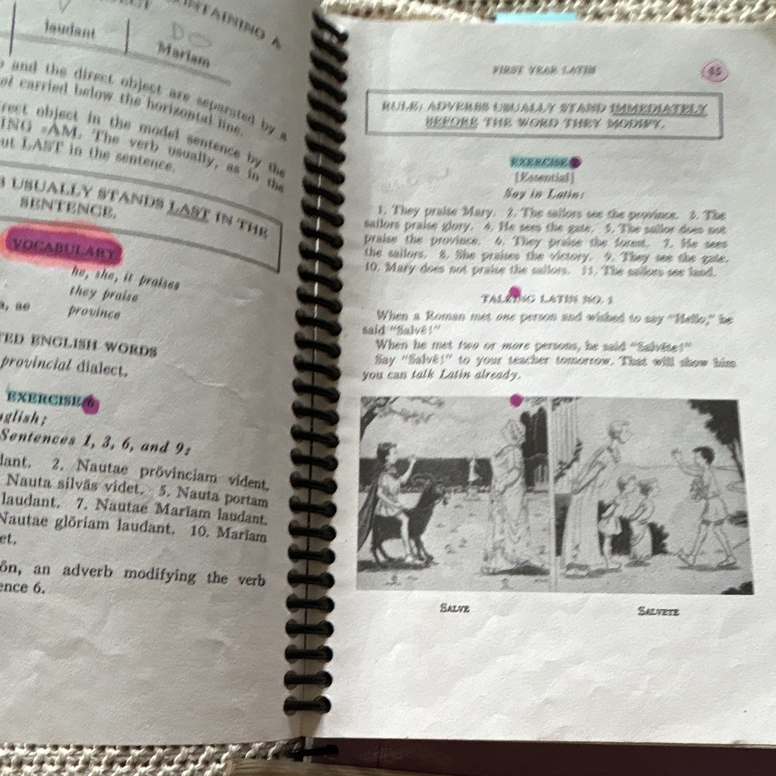 Loyola Press Henle Latin First Year Latin Grammar Spiralbound + Answer Key