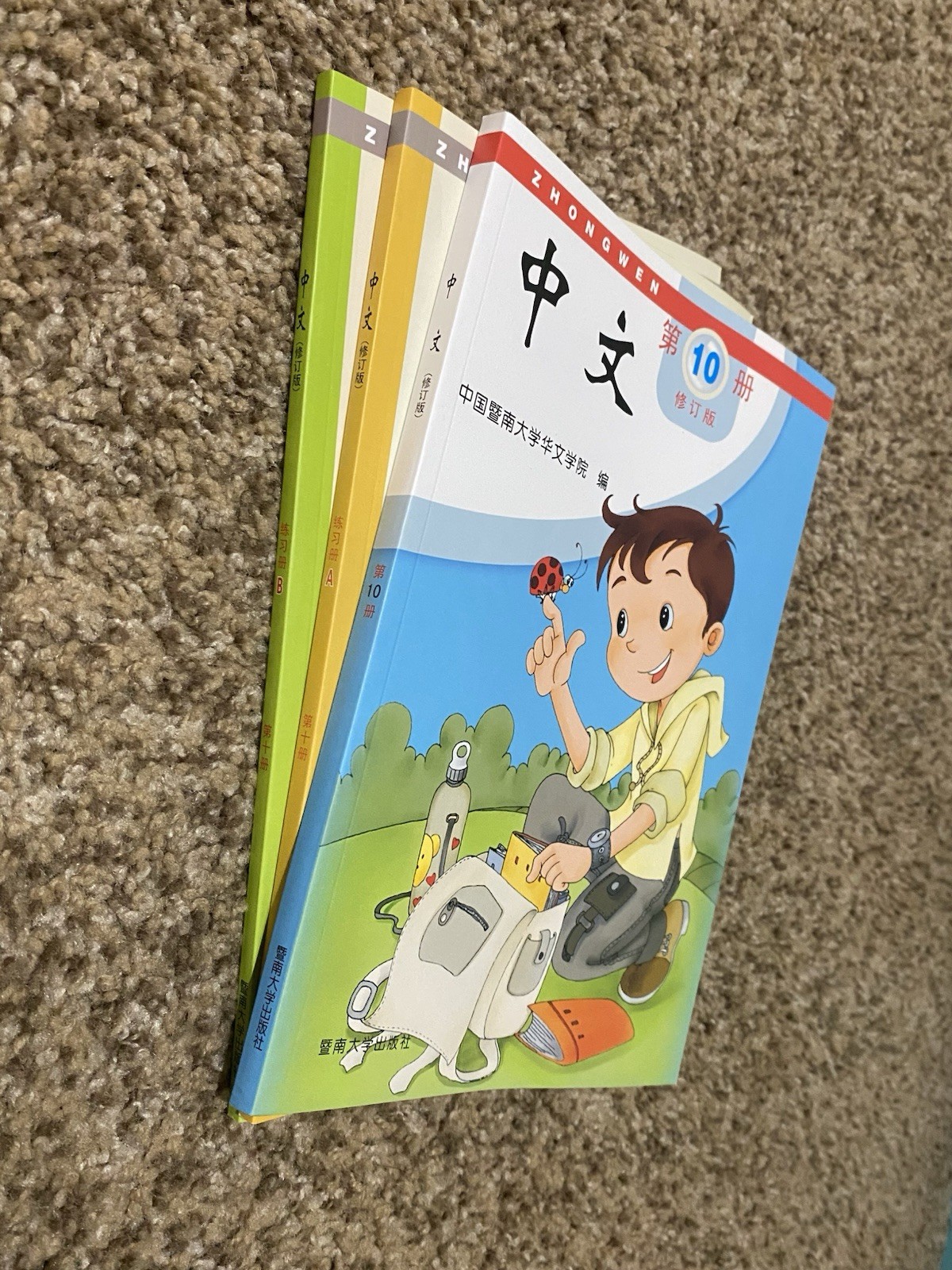 ZHONGWEN 中文 Revised Edition Vol. 10 Textbook + Workbooks 10A & 10B Set