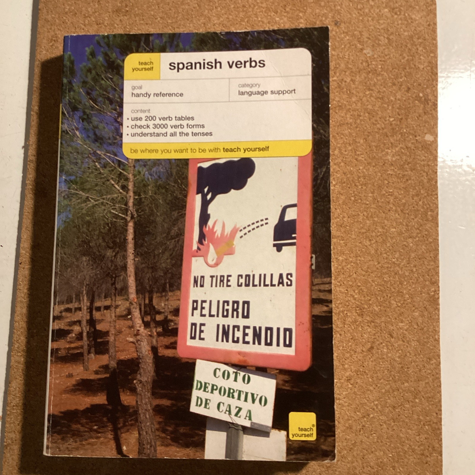 Teach Yourself Spanish Verbs New Ed…, Hollis, Maria R