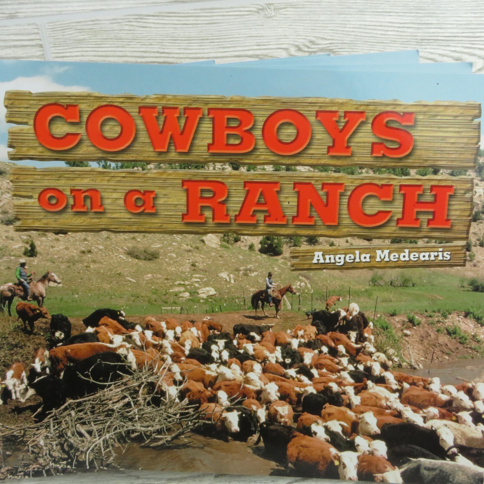 Rigby – Cowboys on a Ranch – Literacy by Design Reading Level G – Lot of 7 Books