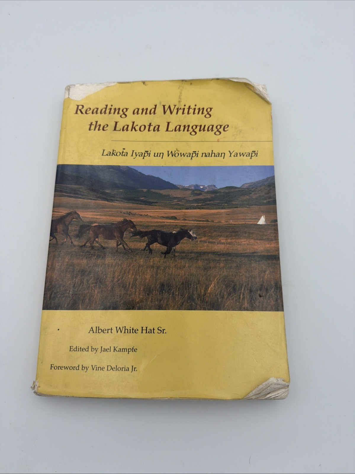 Reading and Writing the Lakota Language Albert White Hat 1999 Paperback Course