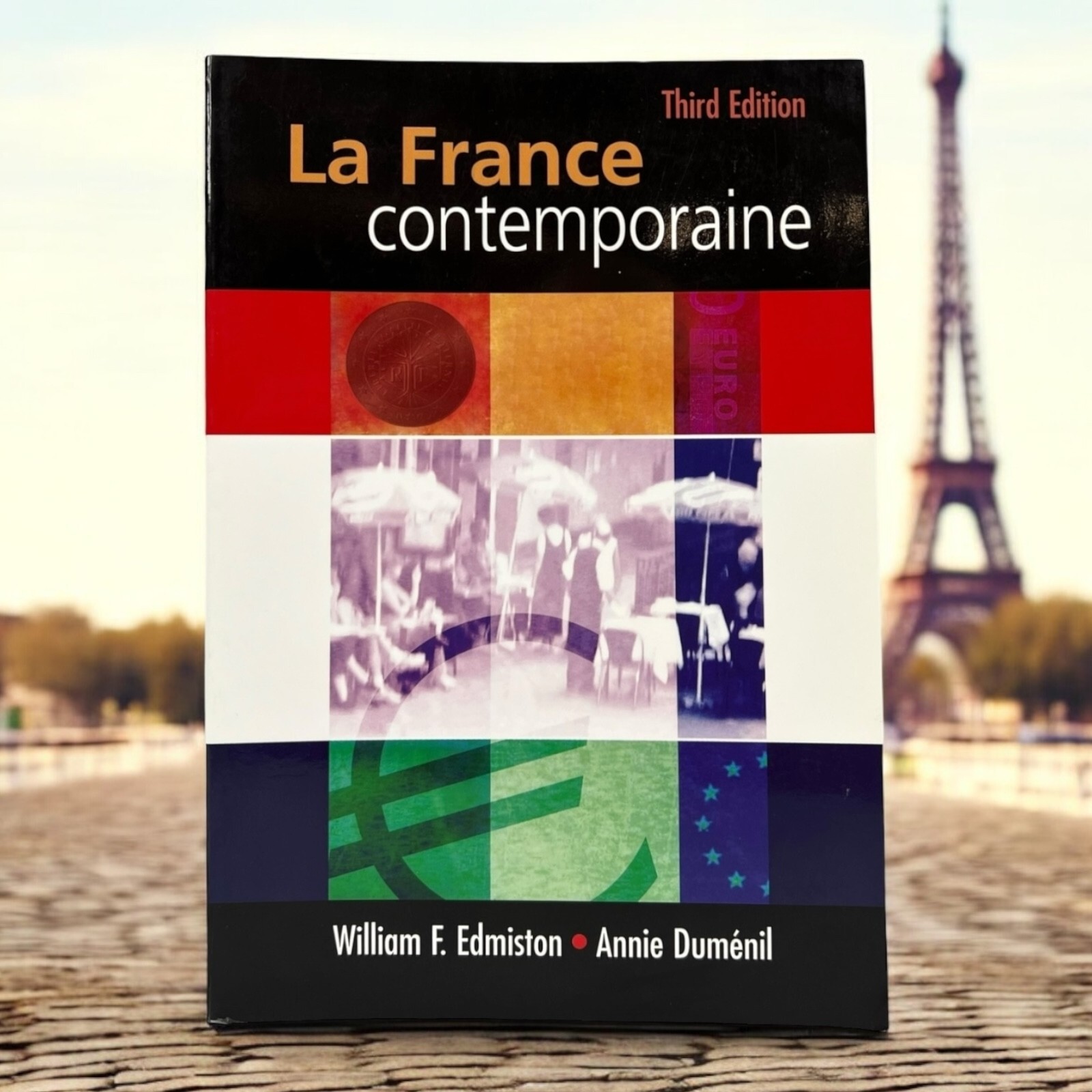 La France Contemporaine French Textbook 3rd EDITION Thomson Heinle Paperback VG