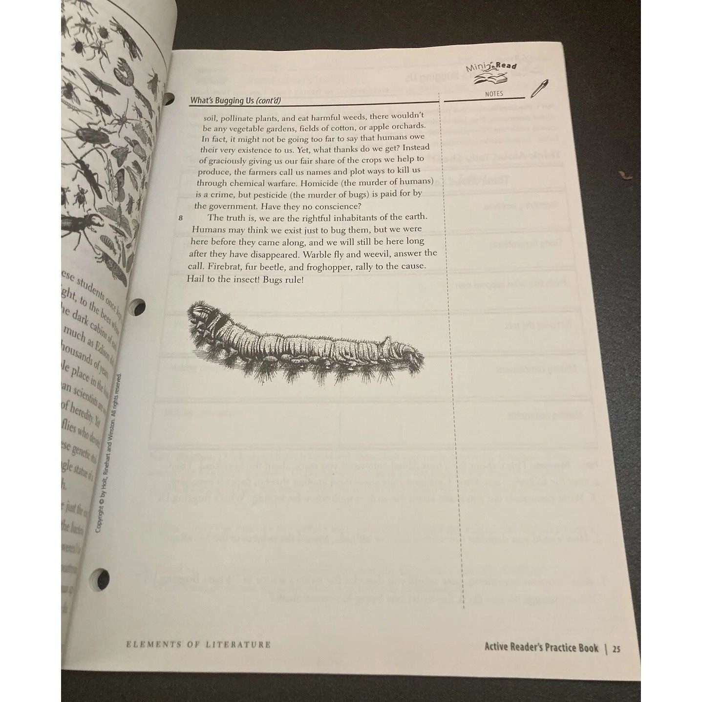 Elements of Literature 6th Course British Homeschool Teacher Practice Book