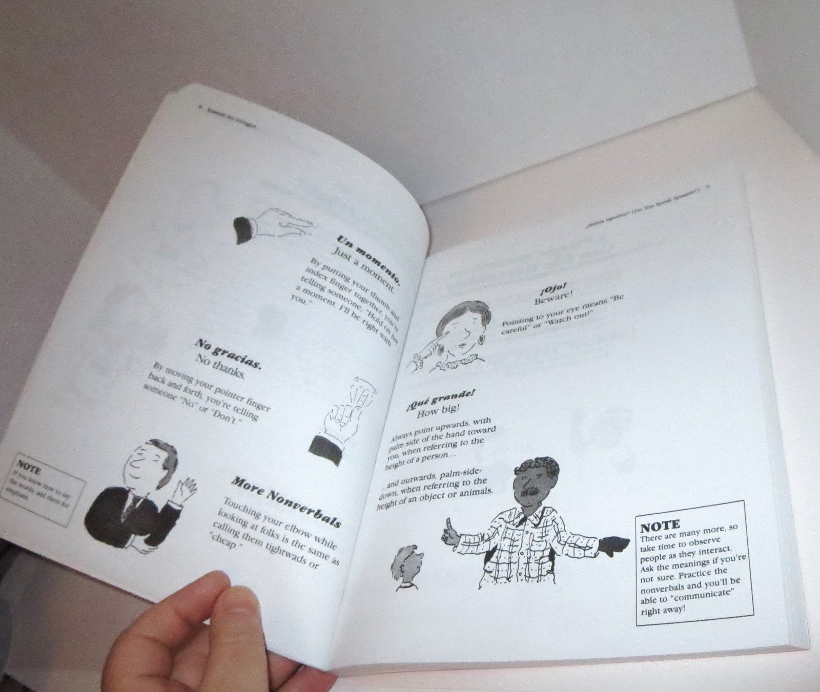 Spanish For Gringos Book W/ Cassette Tapes & Children’s Living Spanish Picture