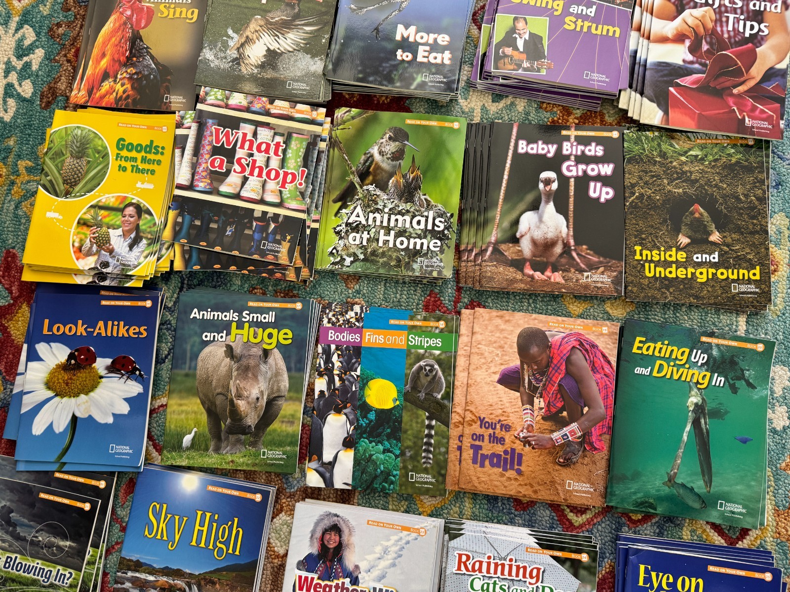 29 Read on Your Own Book Set National Geographic Reach into Phonics Homeschool
