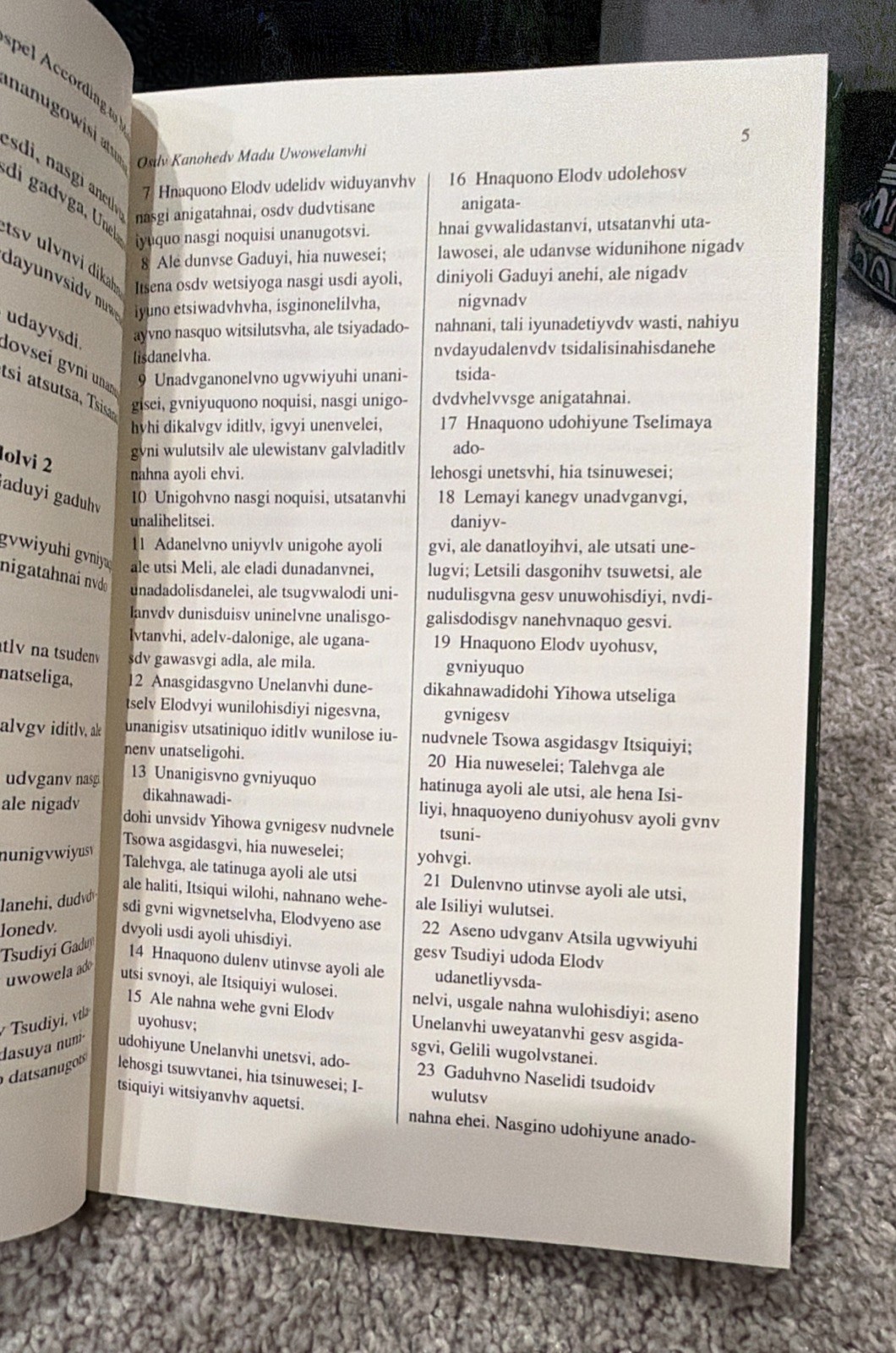 Four Gospels and Selected Psalms in Cherokee : A Companion to the Syllabary N…
