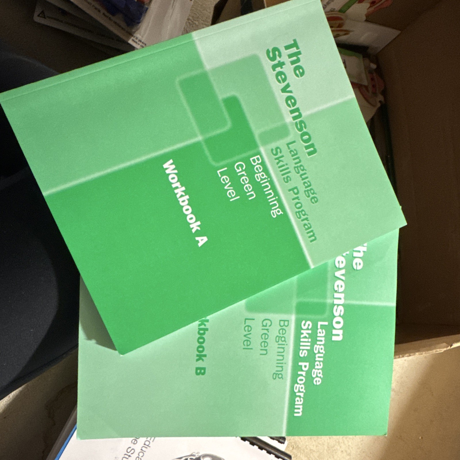 Stevenson Language Skills Program Beginning Teaching Cards Workbooks