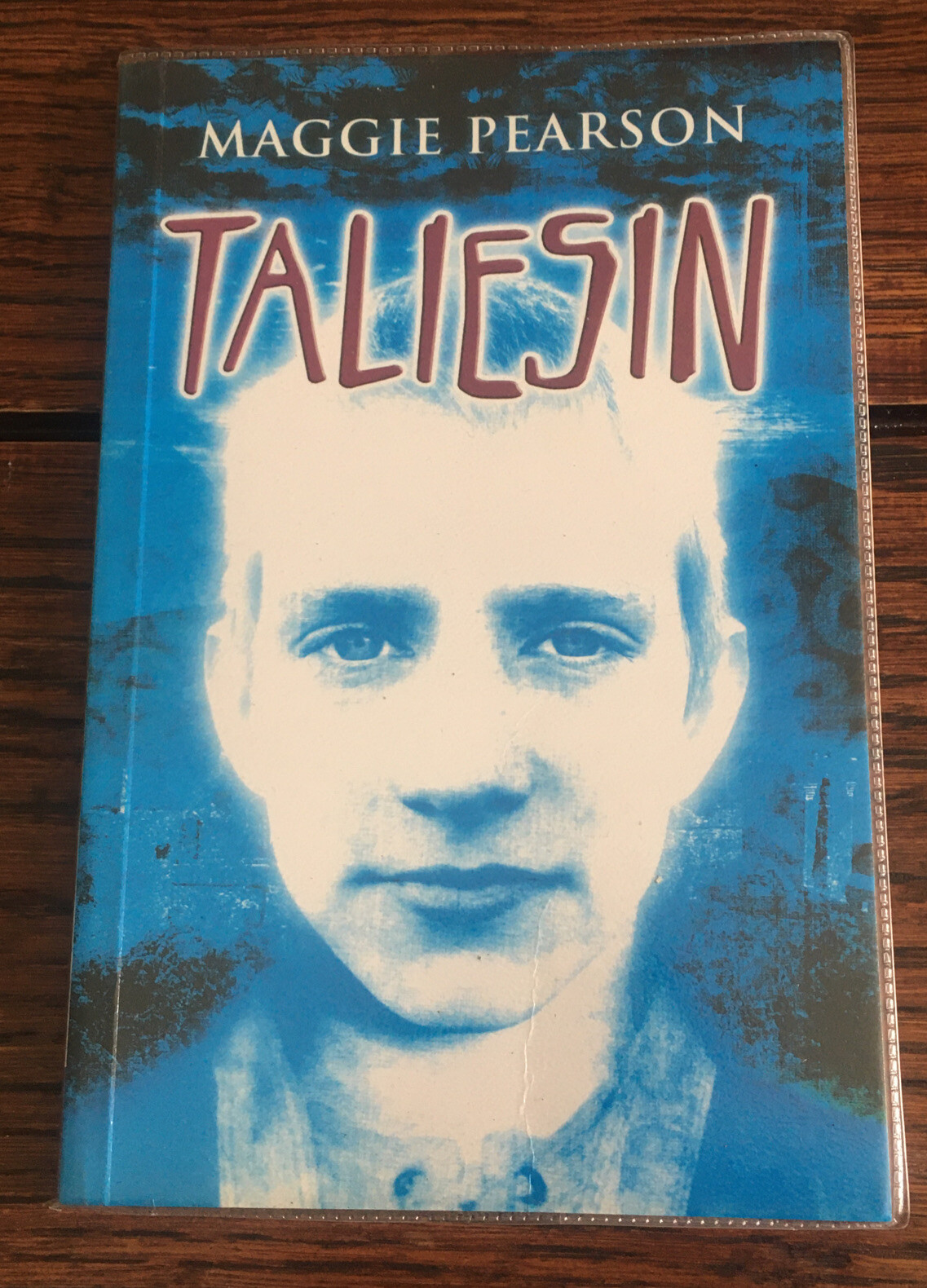 Taliesin by Maggie Pearson