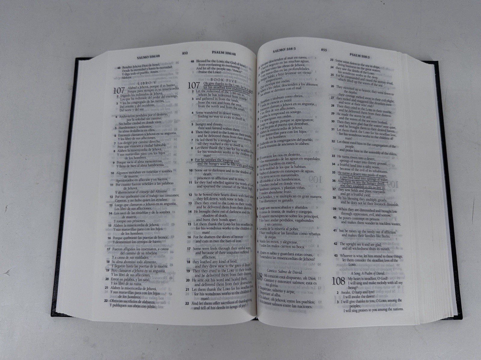 Spanish English Parallel Bible Reina-Valera 1960 ESV English Standard Version