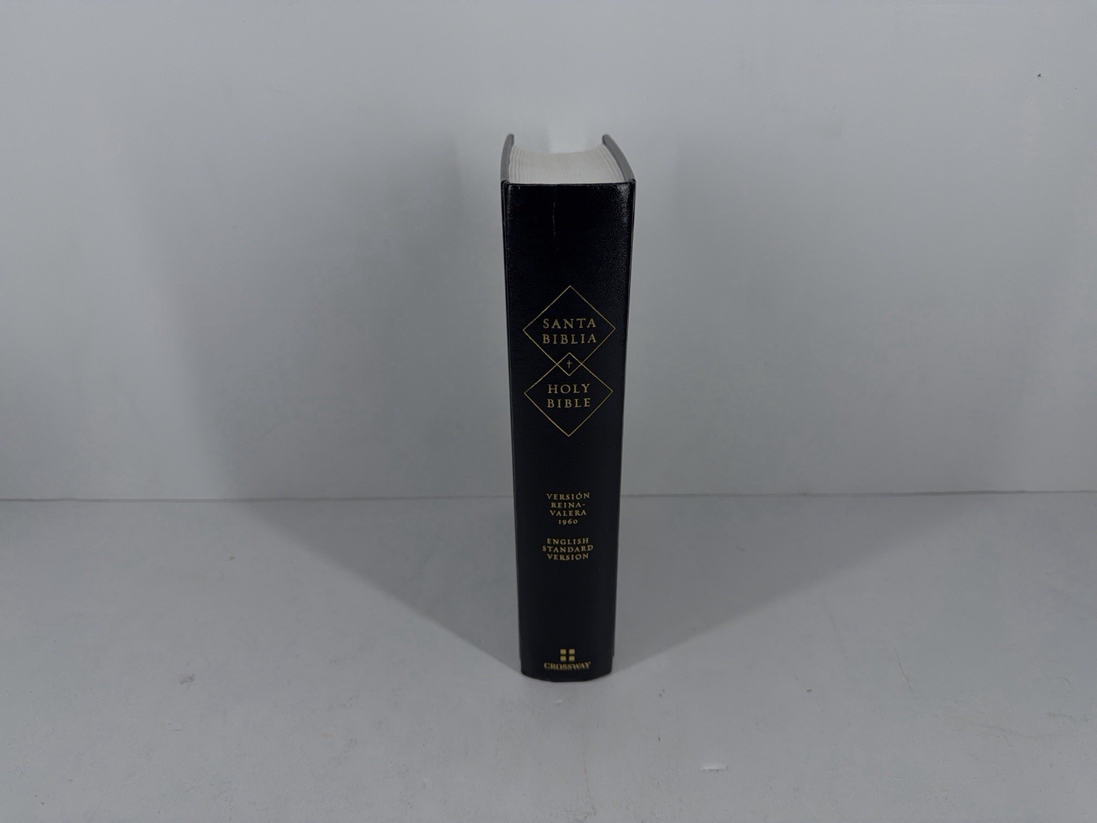 Spanish English Parallel Bible Reina-Valera 1960 ESV English Standard Version