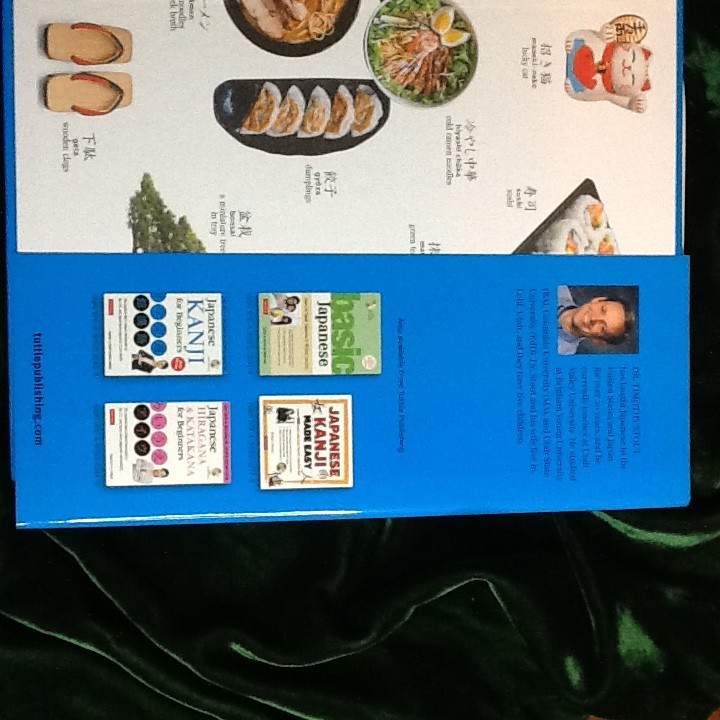 JAPANESE PICTURE BOOK by TIMOTHY G STOUT 2018 HC DJ TUTTLE PUB 071226G