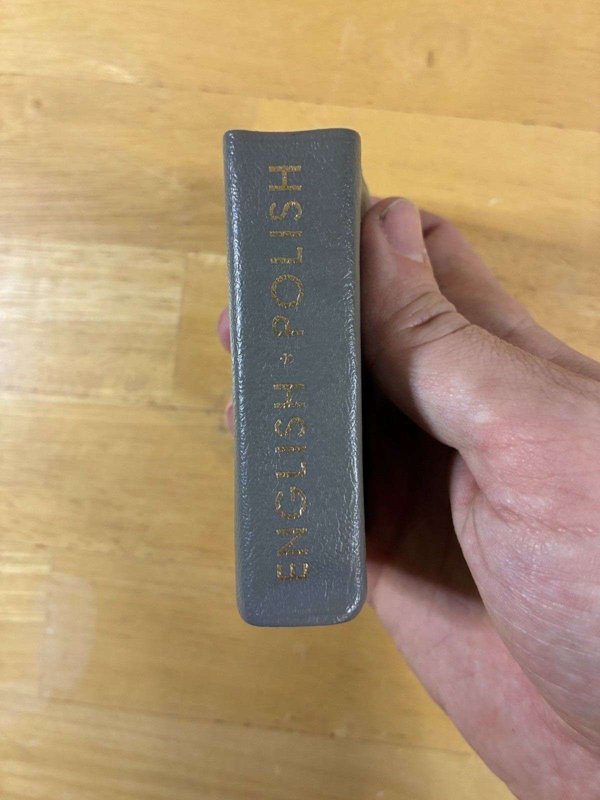 English-Polish And Polish-English Compact Dictionary Hippocrene Books 1977