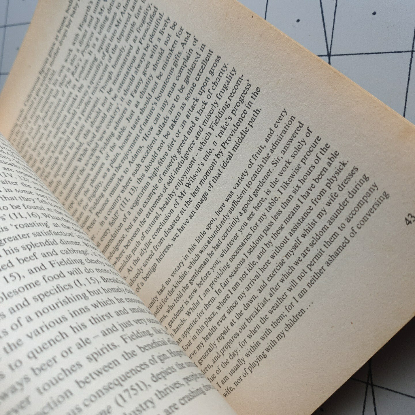 Henry Fielding Joseph Andrews David Nokes Penguin 1987 Paperback Book