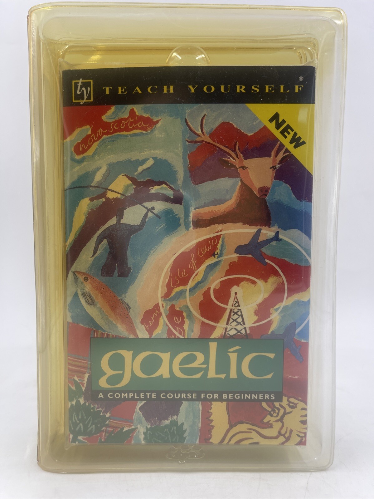 Gaelic A Complete Course For Beginners By Boyd Robertson and Iain Taylor W Tapes
