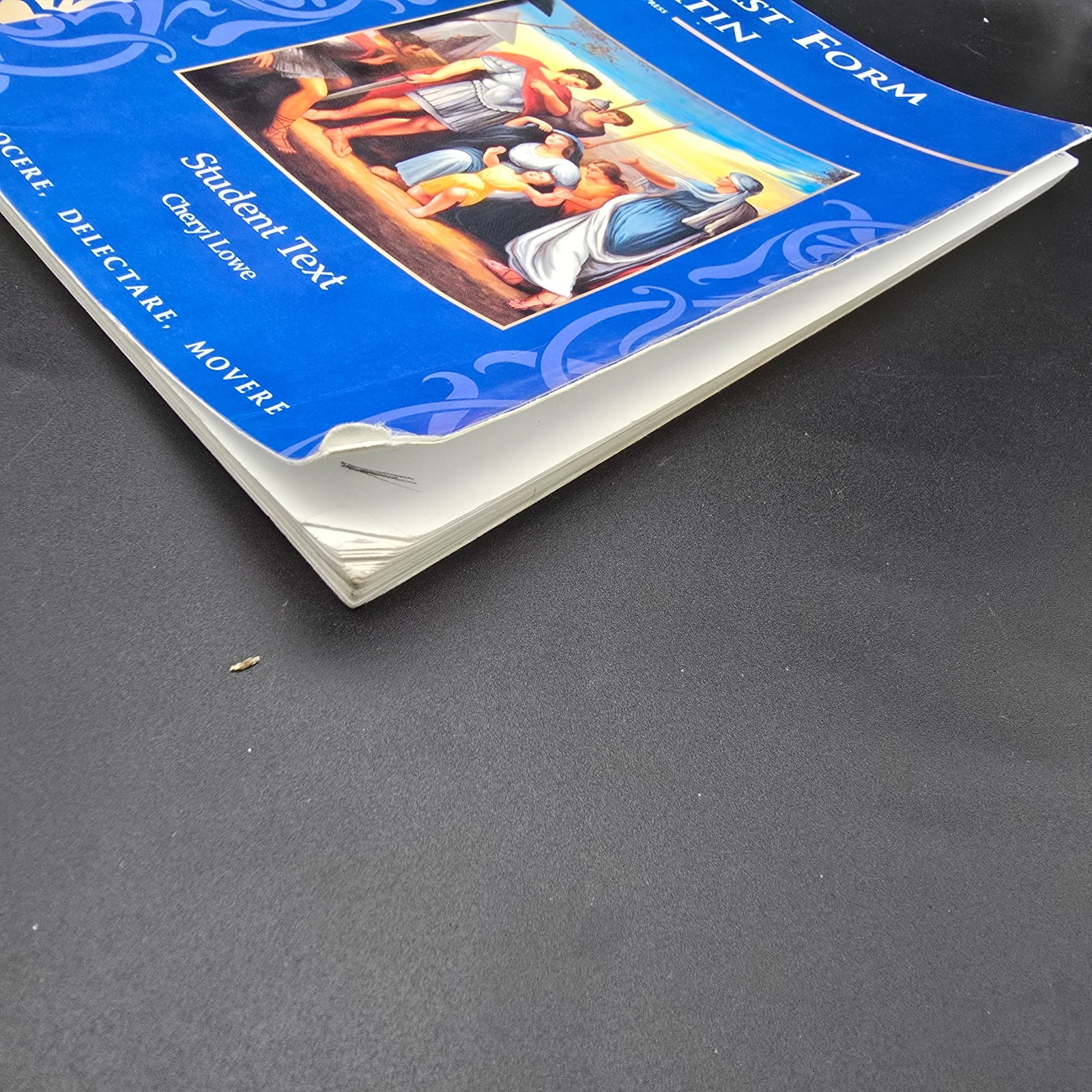 First Form Latin Student Text By Cheryl Lowe – Paperback – Acceptable