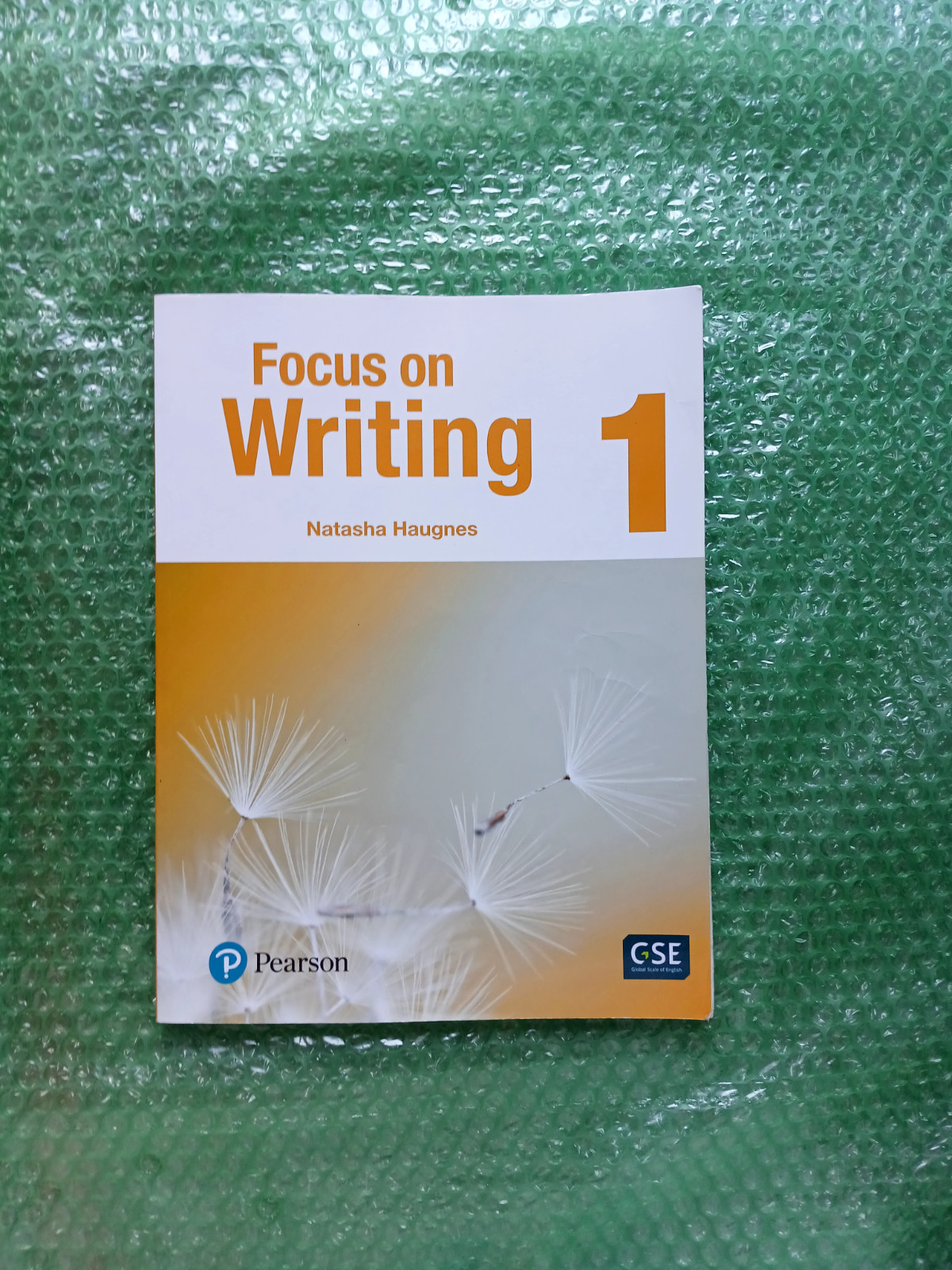 Focus on Writing 1 by