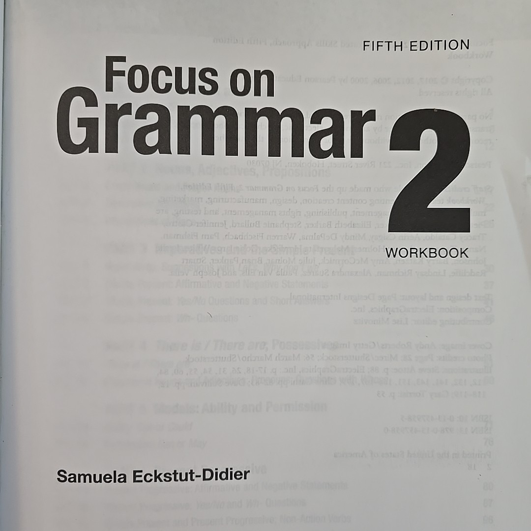 Focus on Grammar Level 2 Workbook by Irene Schoenberg 2017 Trade Paperback