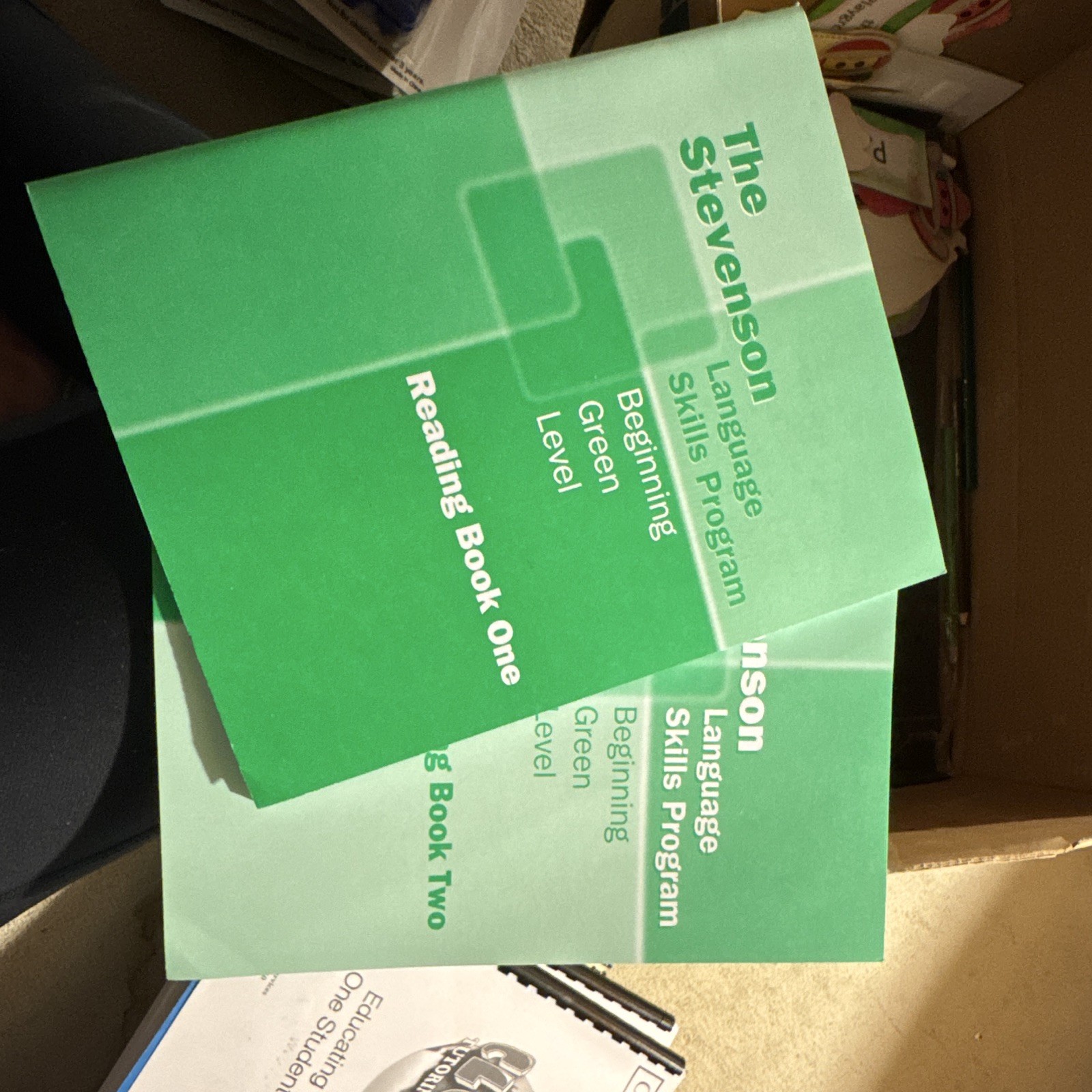 Stevenson Language Skills Program Beginning Teaching Cards Workbooks