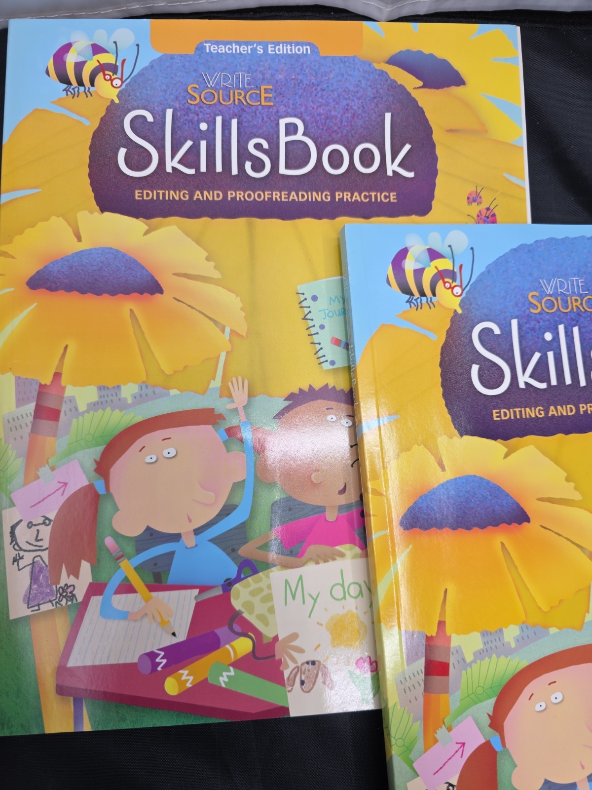 Write Source Skills Book Teachers Edition Student Book & Language Workouts Gr 2