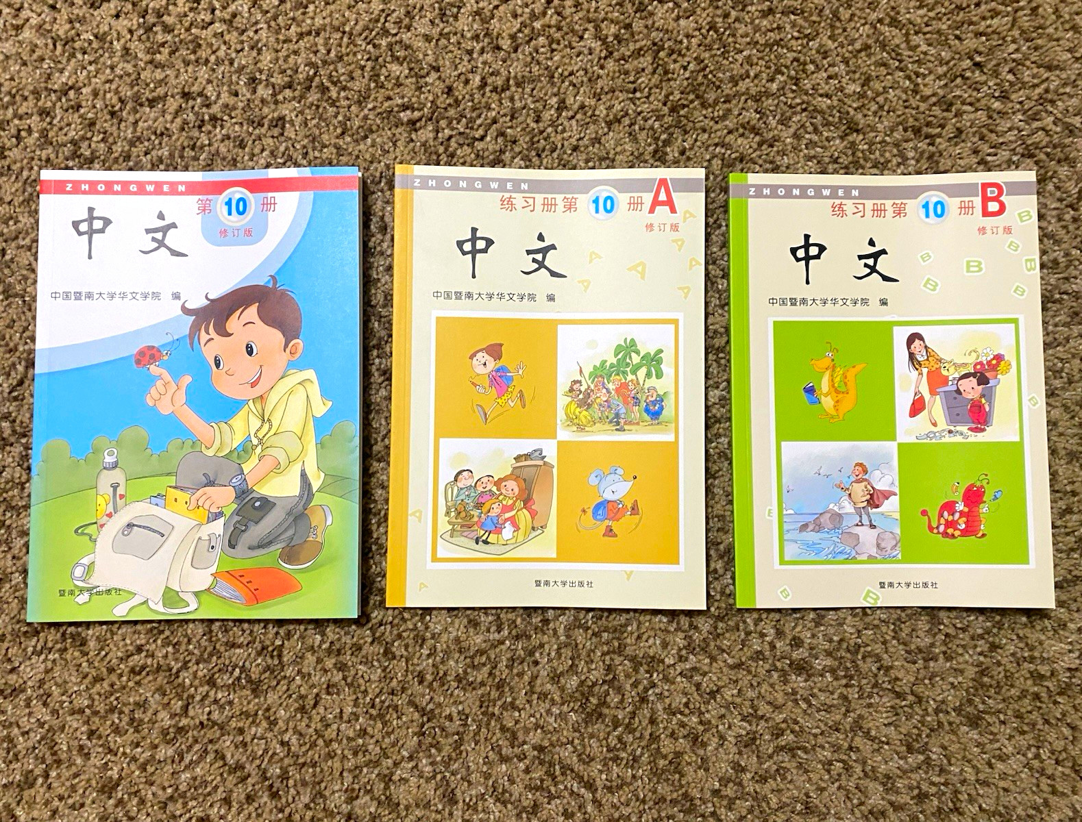 ZHONGWEN 中文 Revised Edition Vol. 10 Textbook + Workbooks 10A & 10B Set