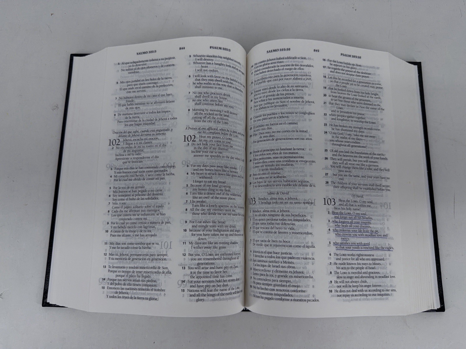 Spanish English Parallel Bible Reina-Valera 1960 ESV English Standard Version
