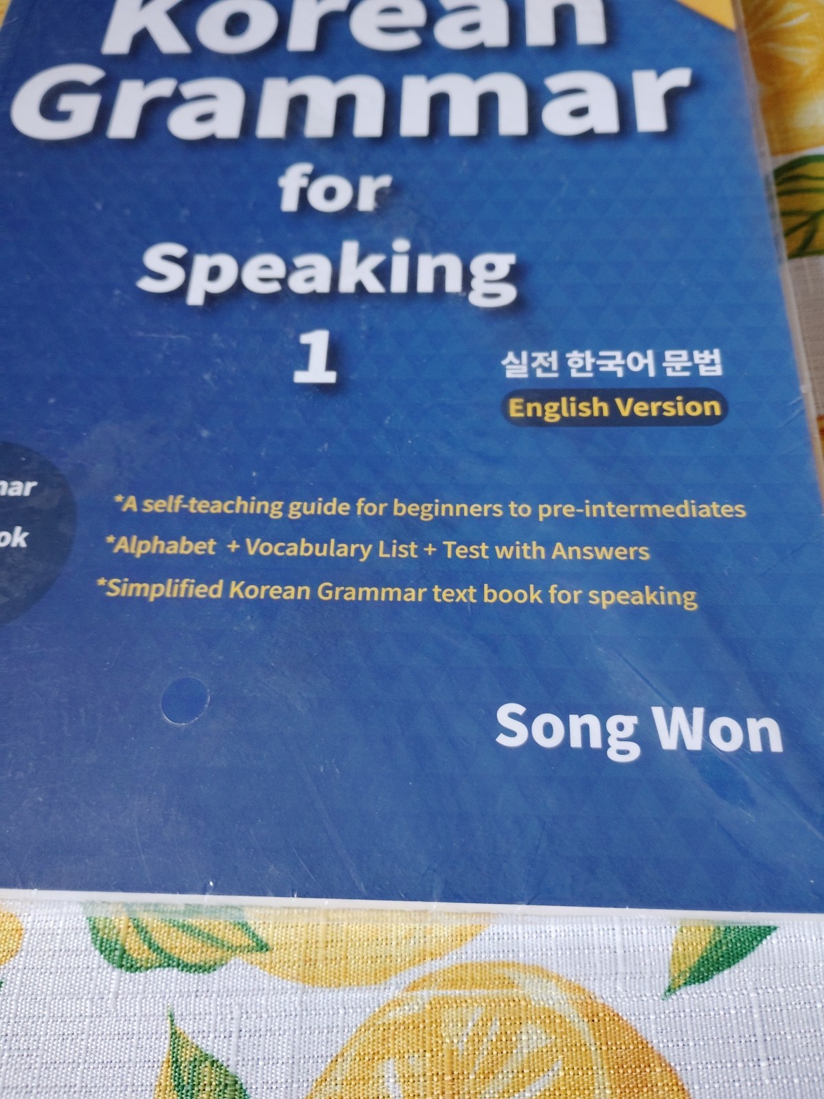 Korean Grammar for Speaking 1 (English Version) Paperback by Song Won