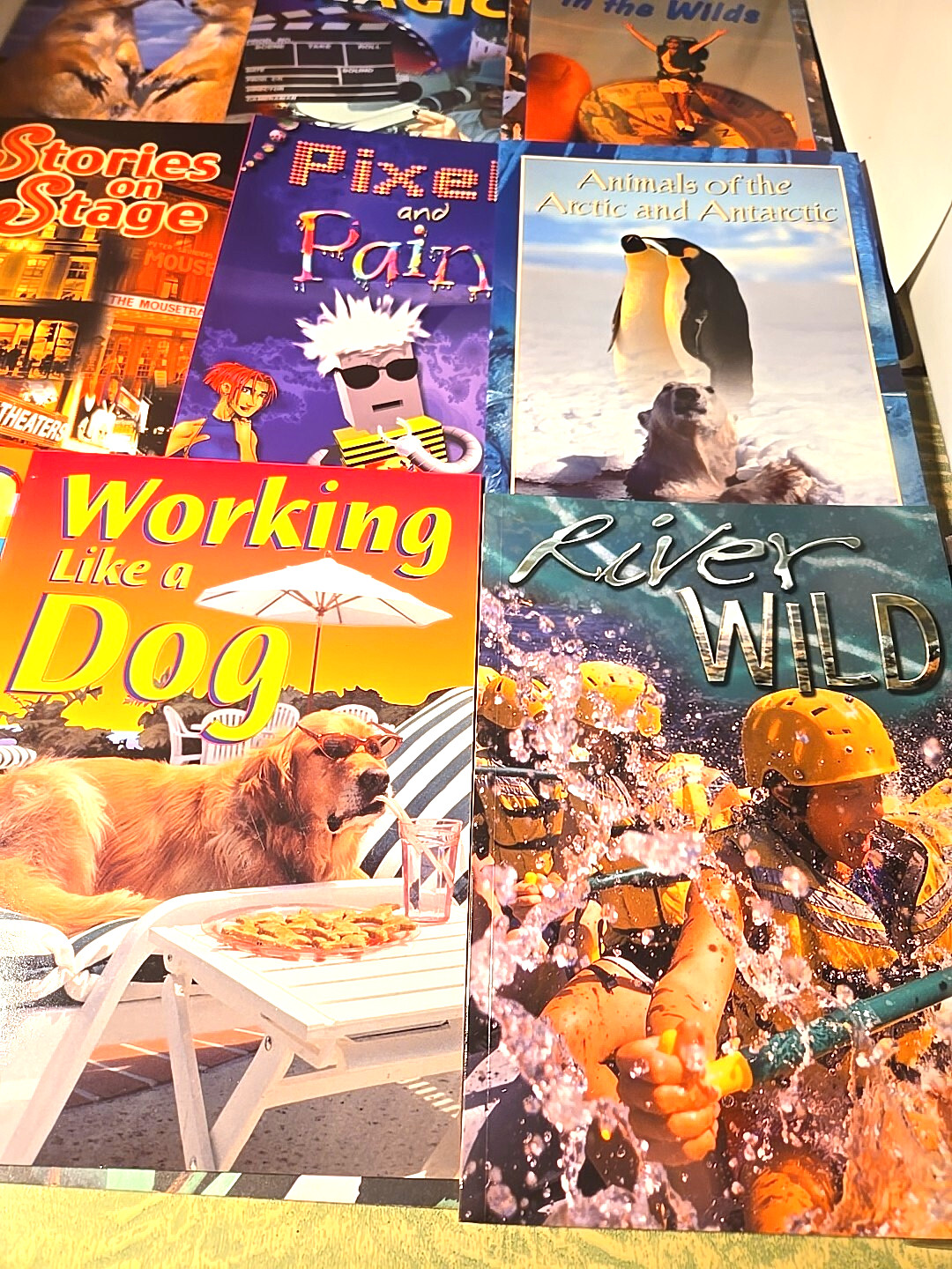 Homeschooling Lot Of 12 McGraw Hill Books Wildcat Series New Education