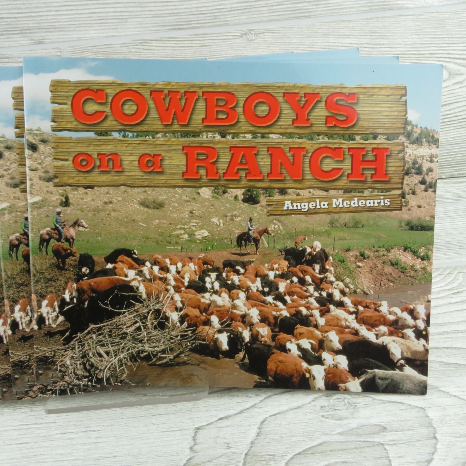 Rigby – Cowboys on a Ranch – Literacy by Design Reading Level G – Lot of 7 Books