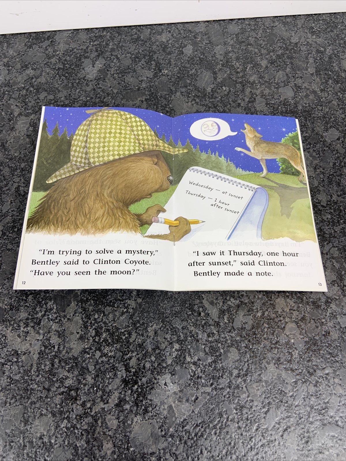 Lot of 7 Rigby Literacy By Design Interactive Reading Homeschool Story Books NEW