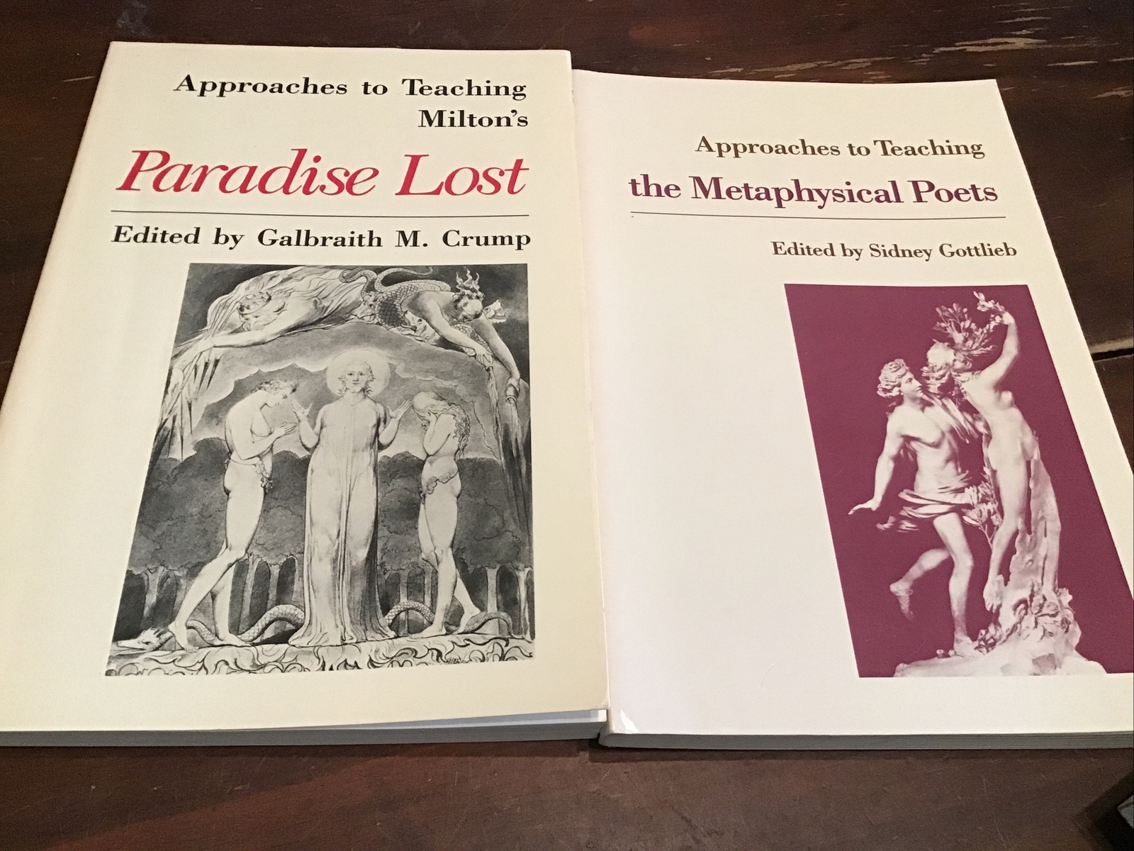 Lot Of 4 Approaches to Teaching the Metaphysical Poets,Paradise Lost,Wordsworth’