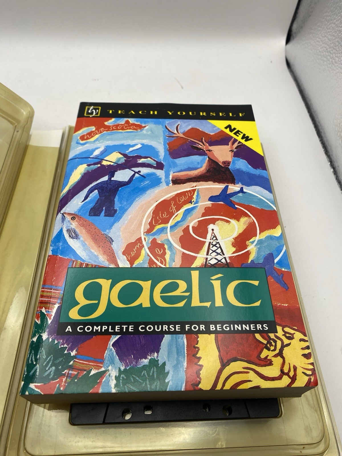 Teach Yourself Gaelic: A Complete Course for Beginners W/Cassettes