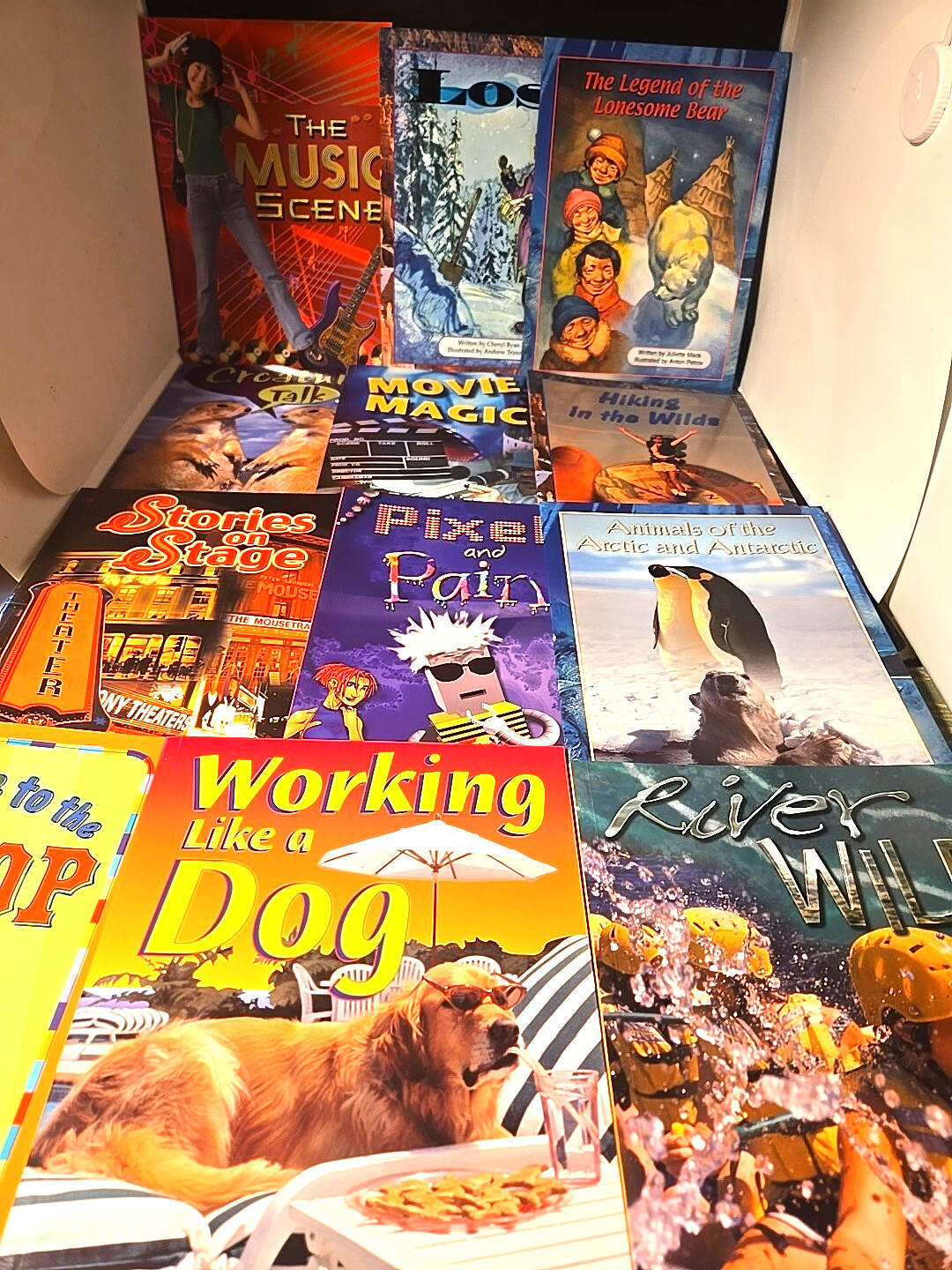 Homeschooling Lot Of 12 McGraw Hill Books Wildcat Series New Education