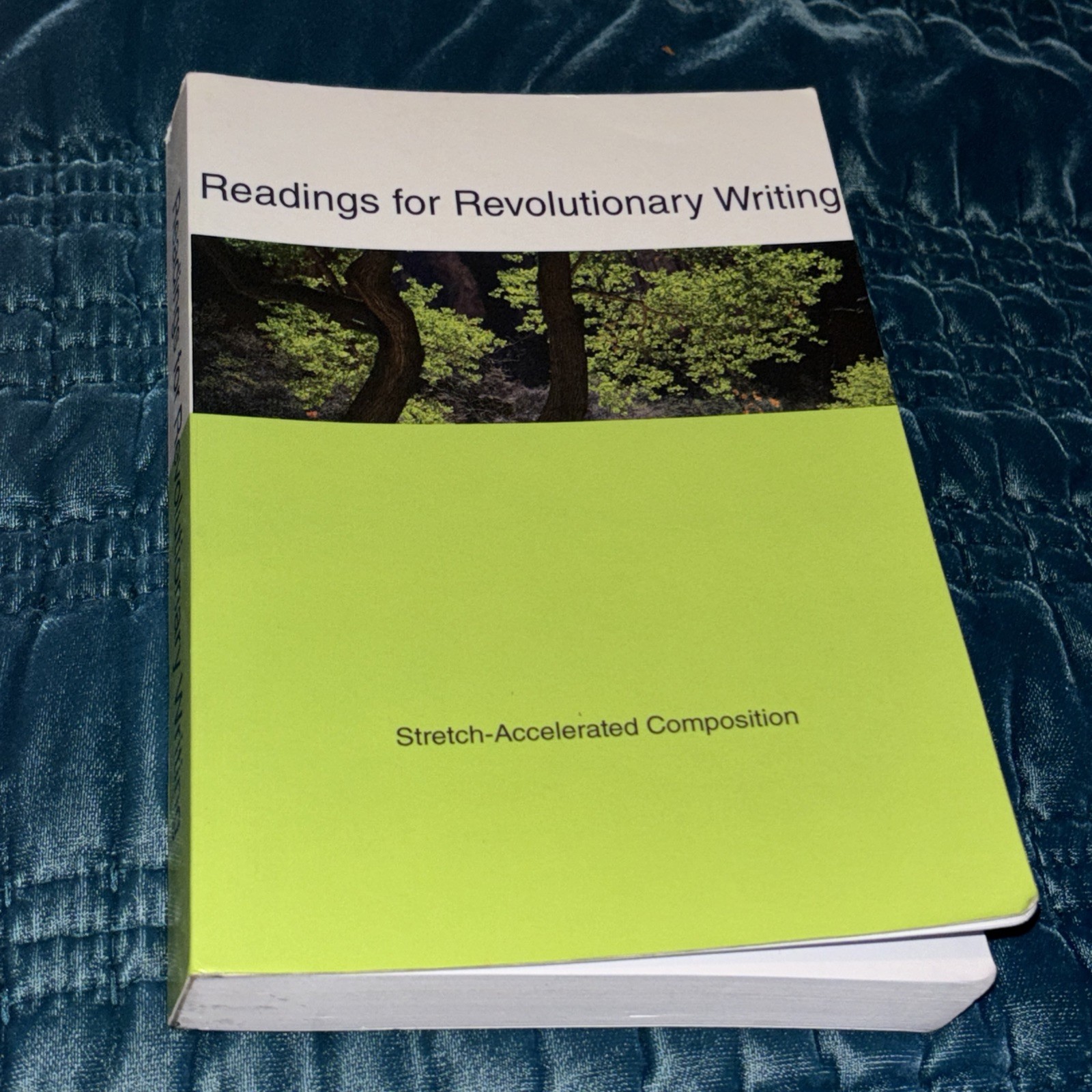 Reading For Revolutionary Writing Bedford Selected Book