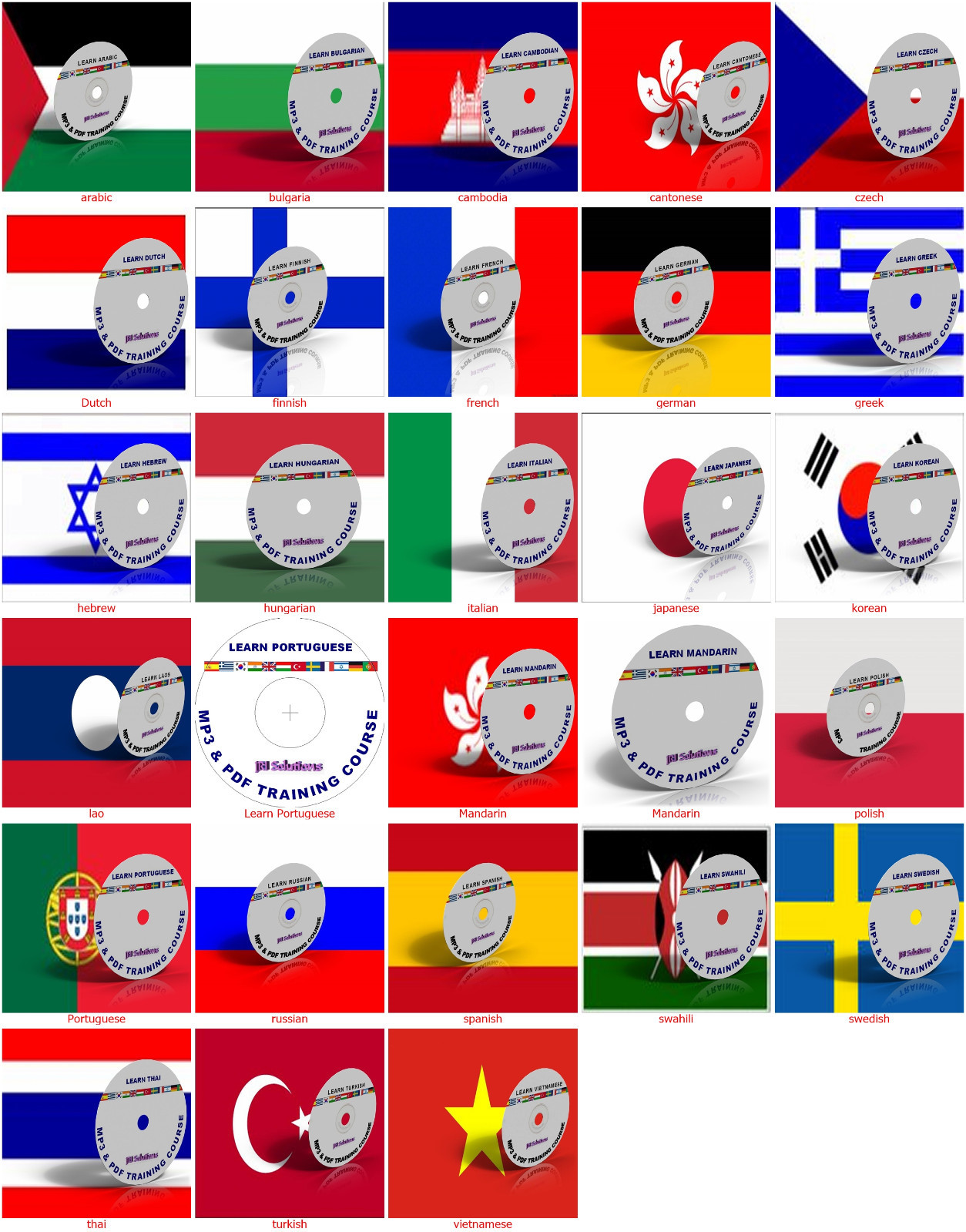 Learn To Speak fluent Language Training Course DVD,MP3 PDF Teach Yourself Audio