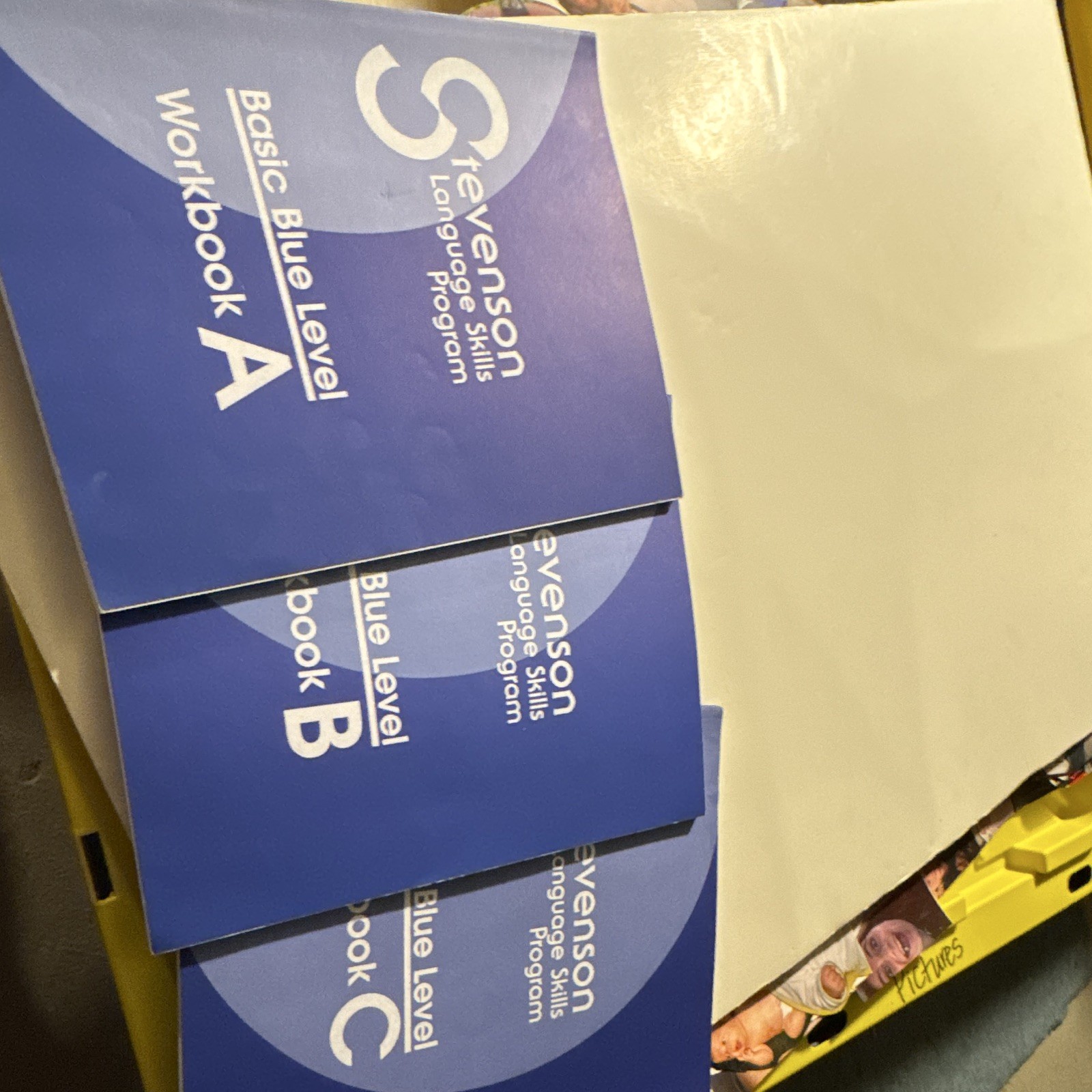 Stevenson Language Skills Program Beginning Teaching Cards Workbooks