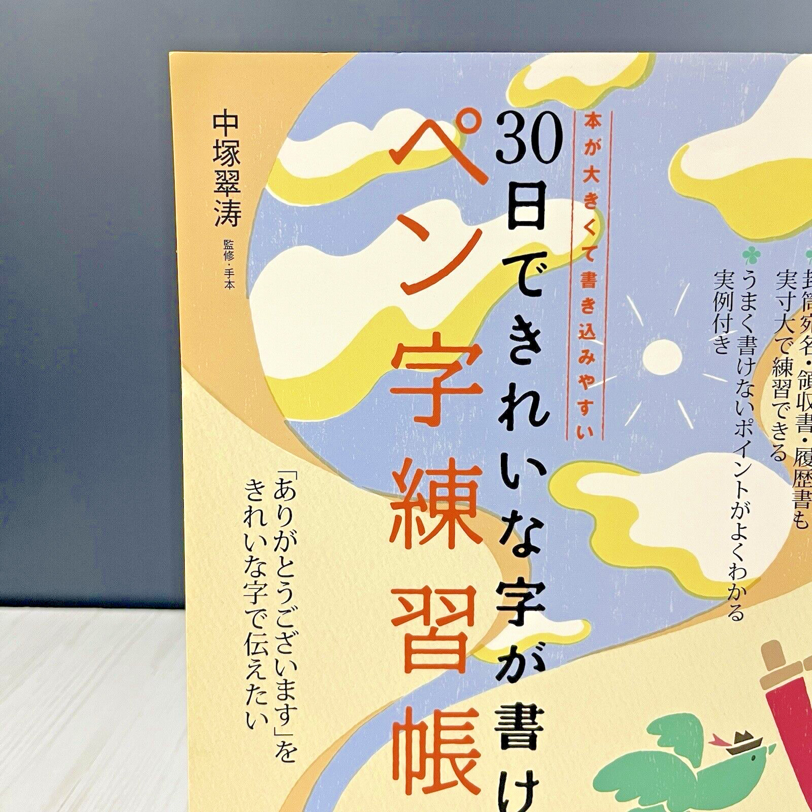 Learn Japanese Handwriting 30 Days Workbook Suito Nakatsuka Penmanship Practice