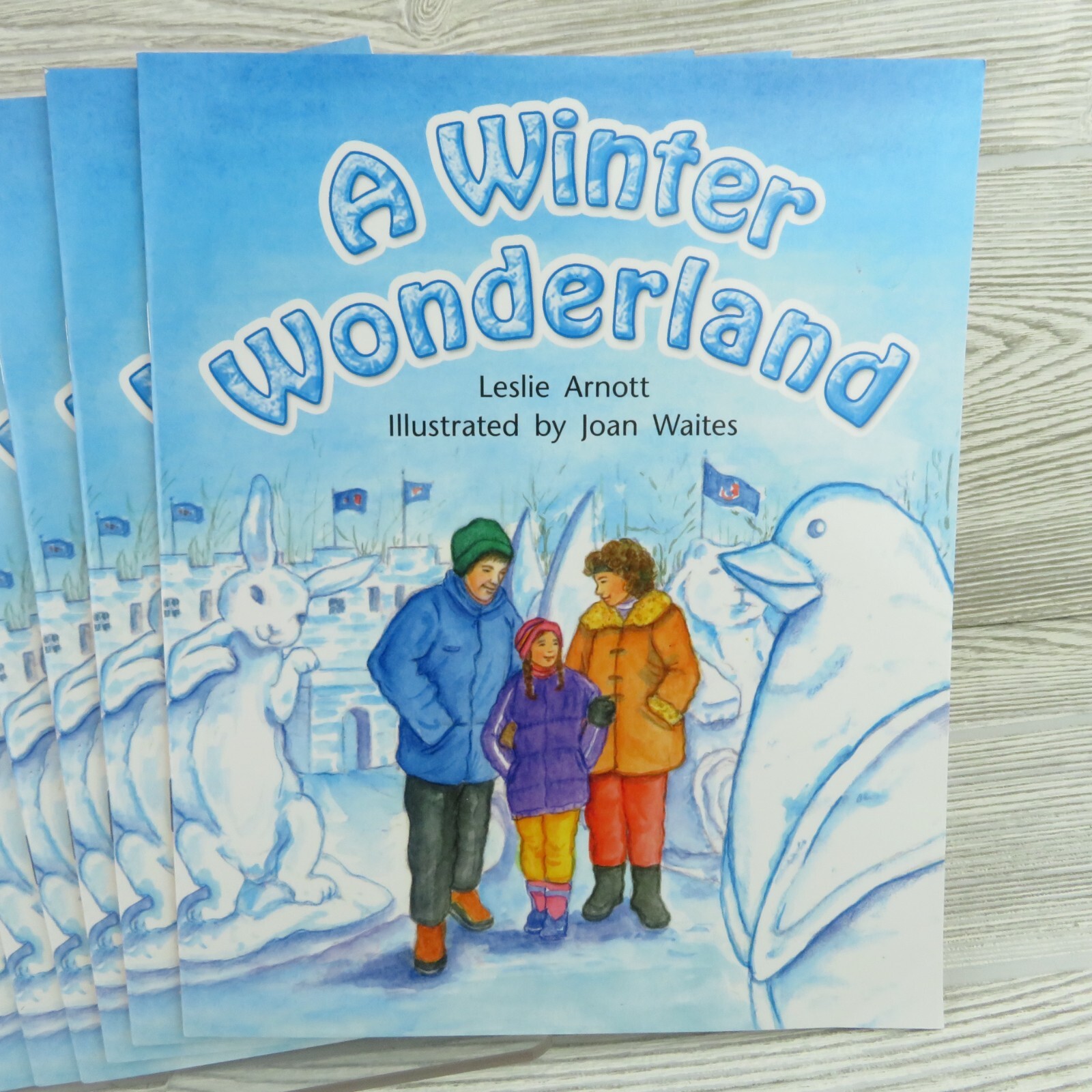 Rigby – A Winter Wonderland, by Leslie Arnott – Reading Level H – Lot of 8 Books