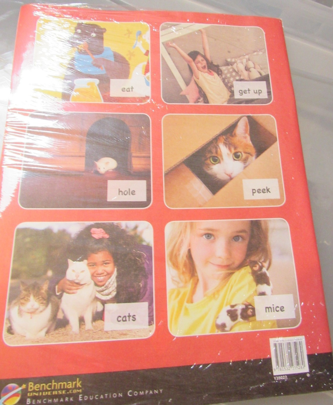 Benchmark My Reading & Writing Units 1-10 Set 5 Student Books New Sealed