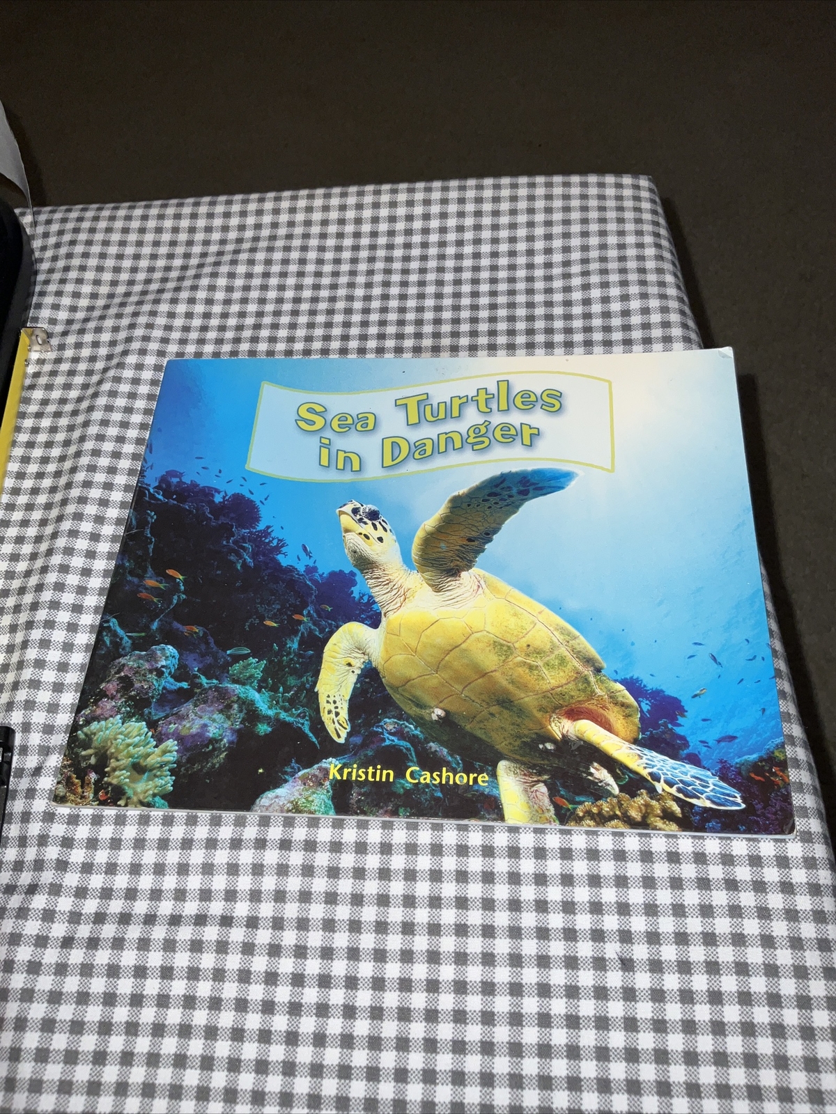 Sea Turtles in Danger By Kristin Cashore 2008 1st Edition Like New