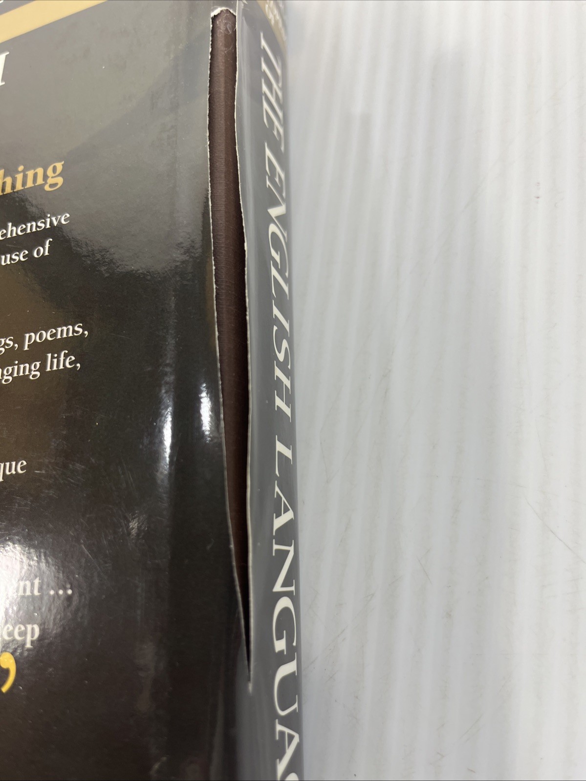 The Cambridge Encyclopedia of the English Language By David Cry Hardcover HCDJ